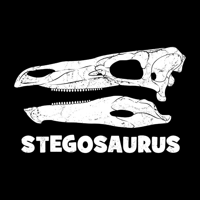 Crâne fossile de stégosaure
