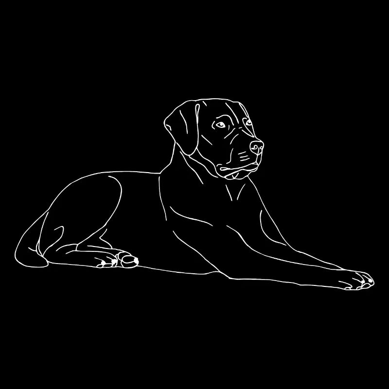 Labrador liegend