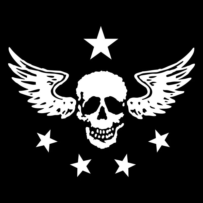 Skull & Wings 01