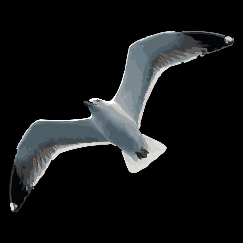 Mouette