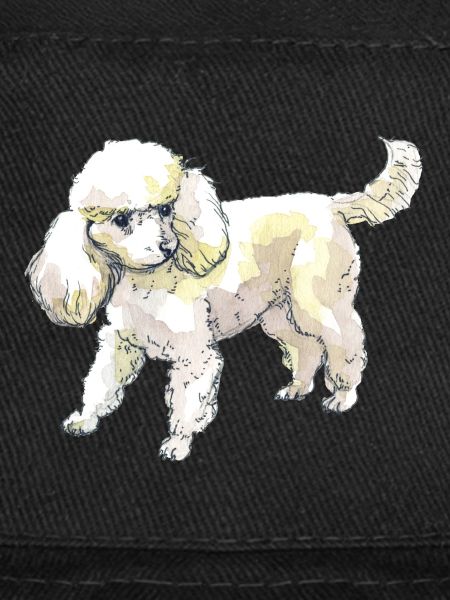 poodle