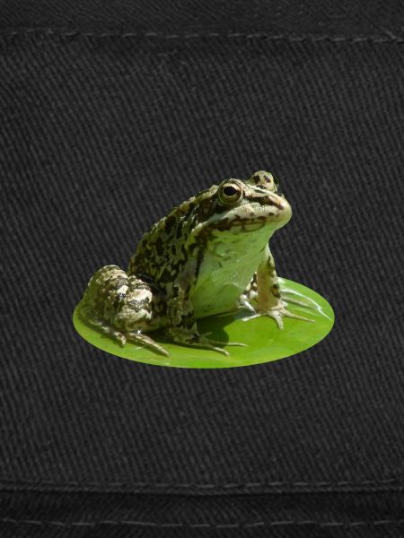 Grenouille