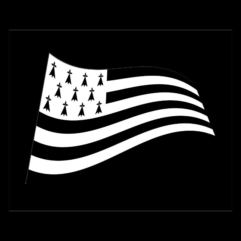 drapeau breton dans le vent