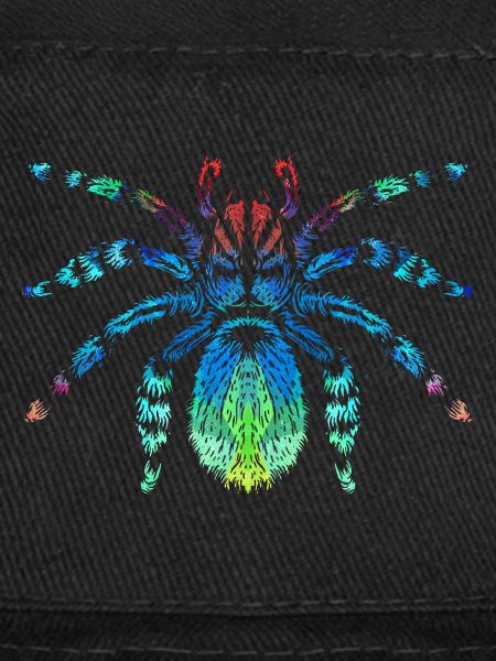 Araignées