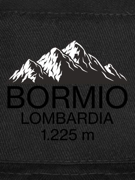 logo de bormio