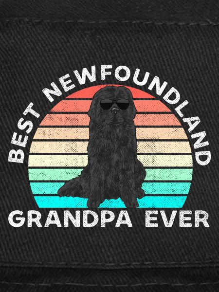 Newfoundland Newfoundland Dog