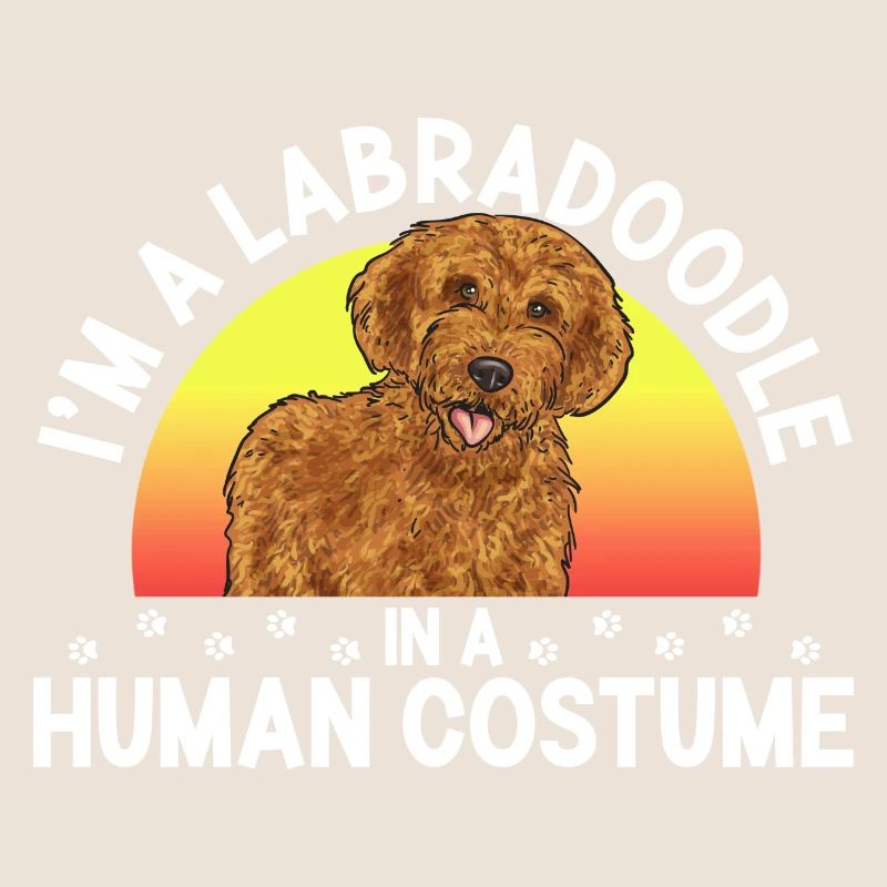 Labradoodle Chien