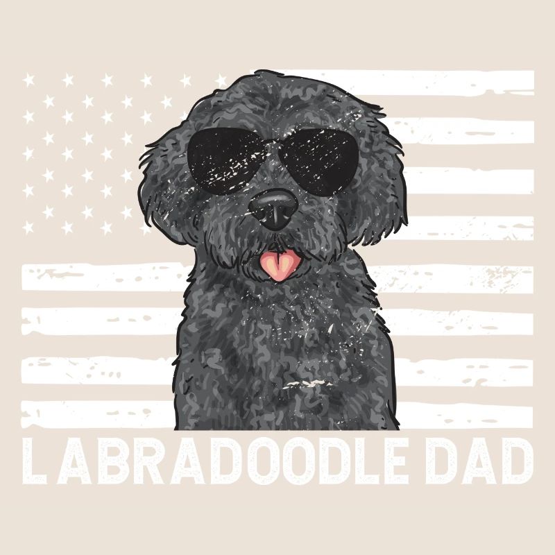 Labradoodle Hund