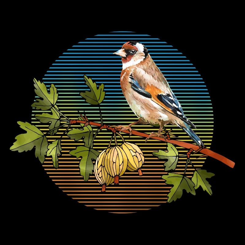 Colorful bird