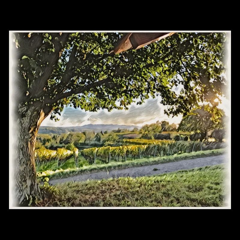Ausblick