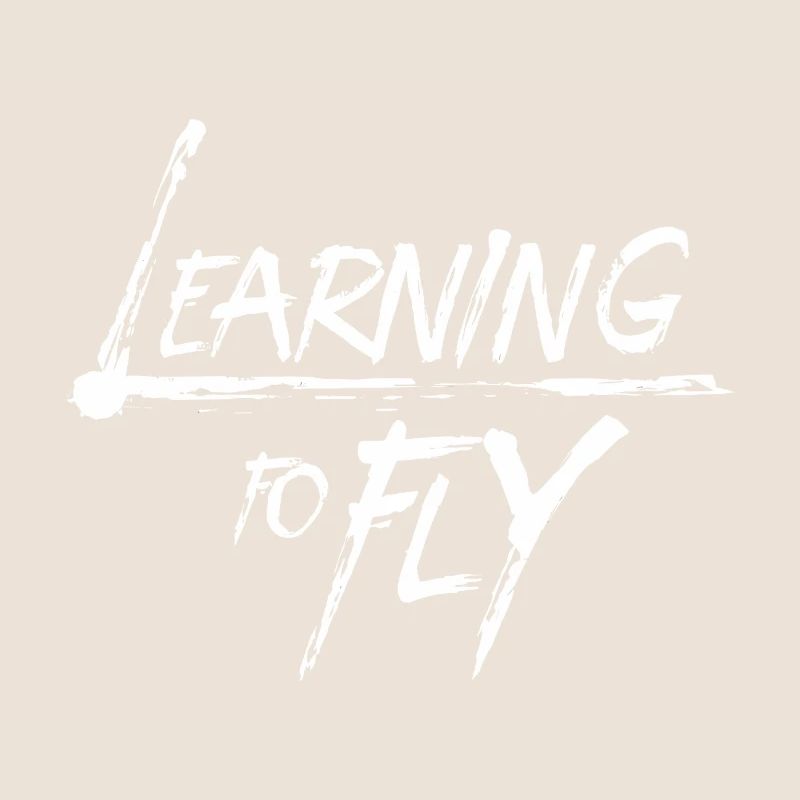 Learning to fly Fliegen Flugzeug Pilot Flieger