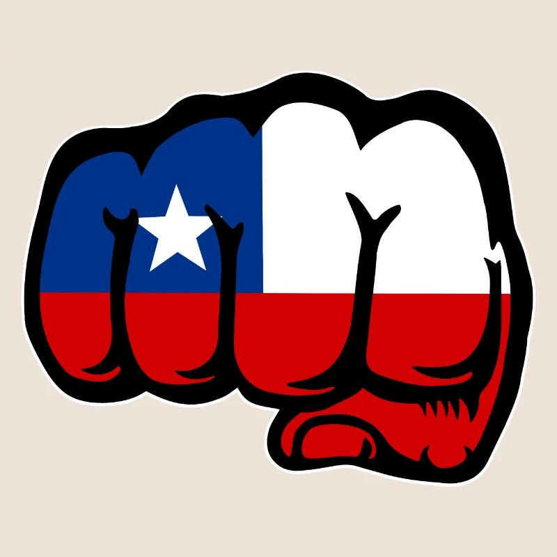 Poing du drapeau du Chili