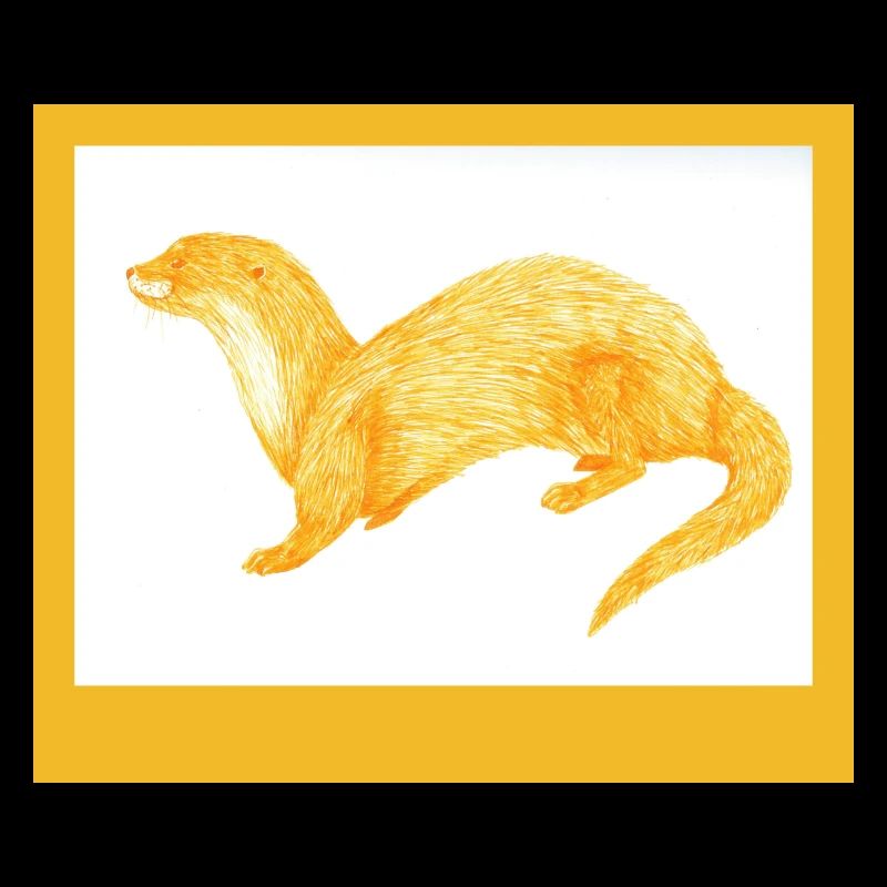 240616 Loutre 4