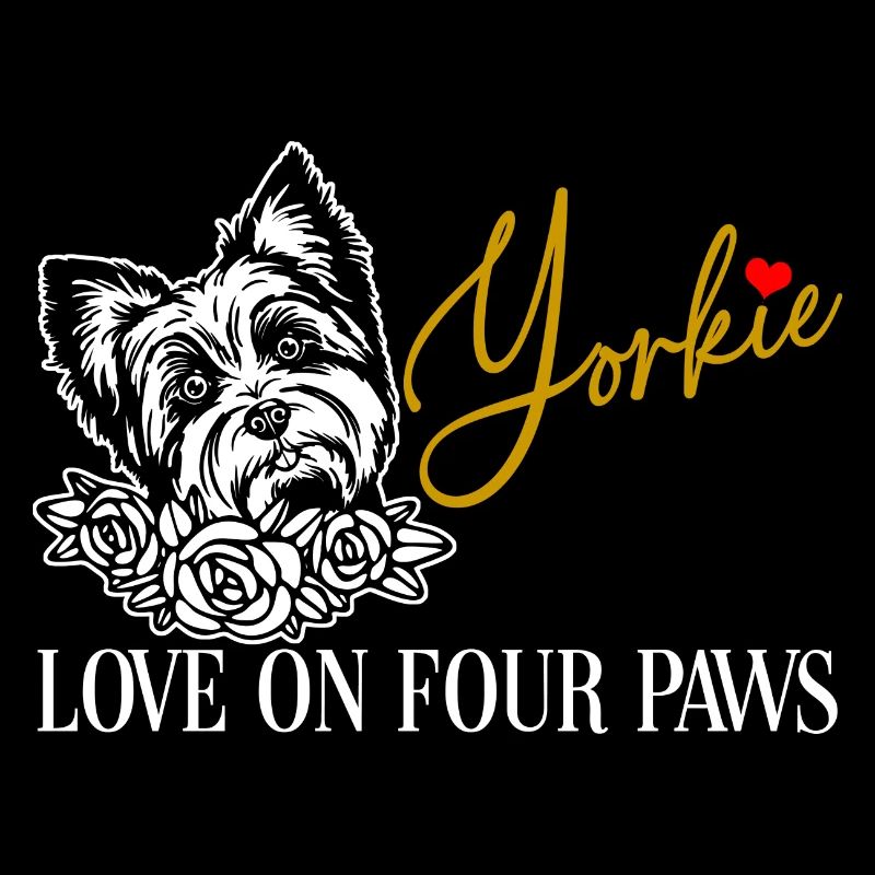 Yorkshire Terrier Liebe auf vier Pfoten