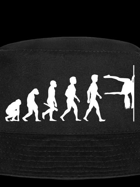 Evolution Poledance Pole Dancing Danse