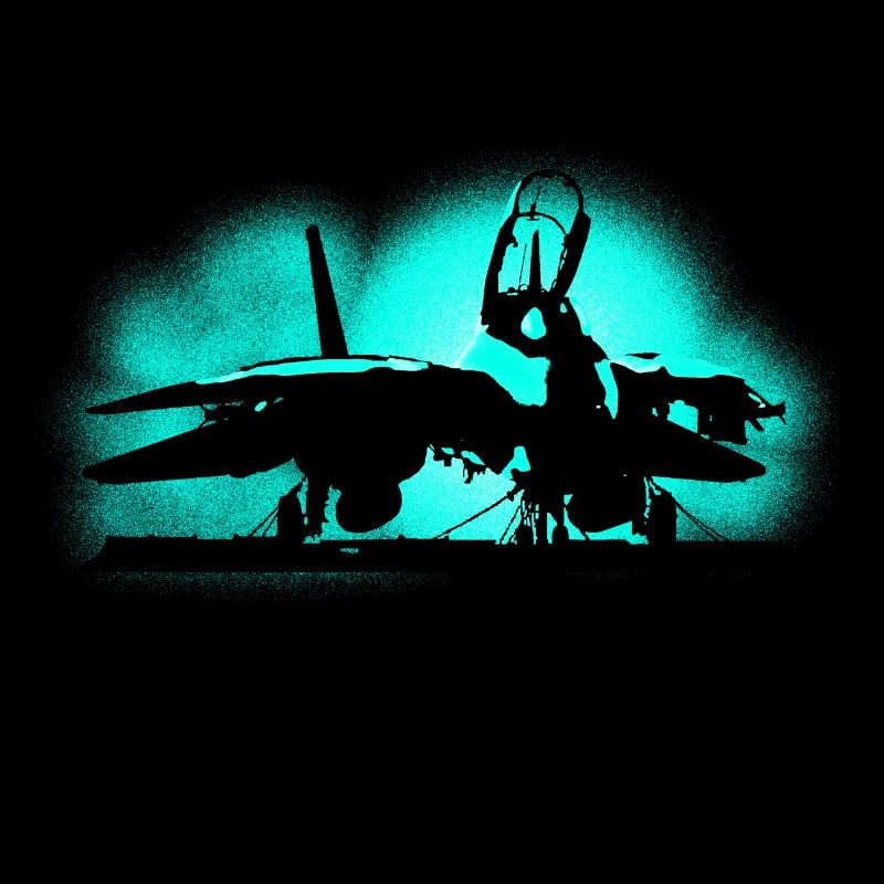 Jet F-14 Tomcat