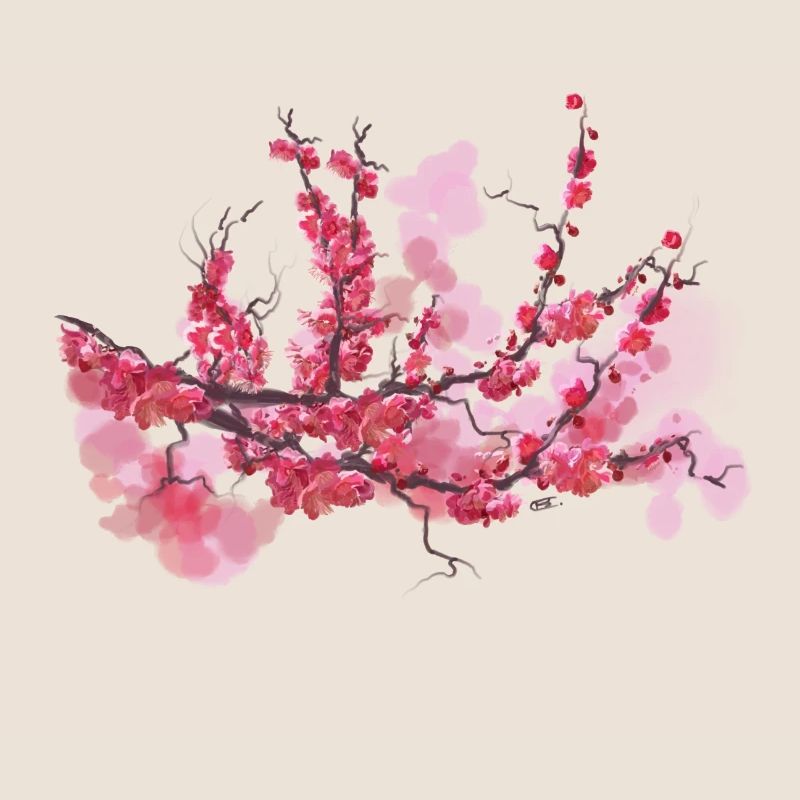 sakura