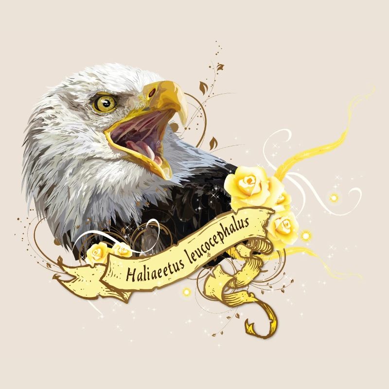 Bald eagle
