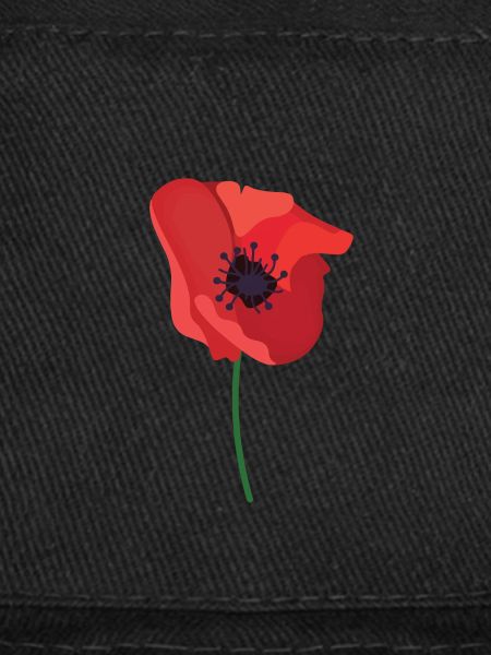 british legion poppy day