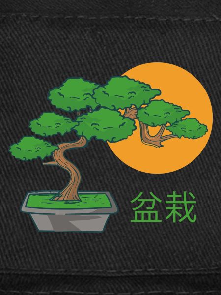 Bonsai Small Tree