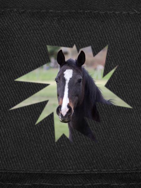 Cheval. Cheval.