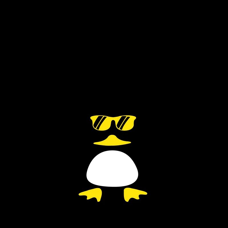 Canard de plage