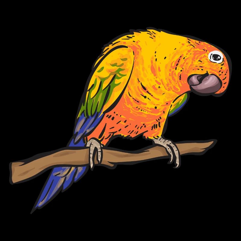 Molina Perruche Perroquet Oiseau Perruche Soleil