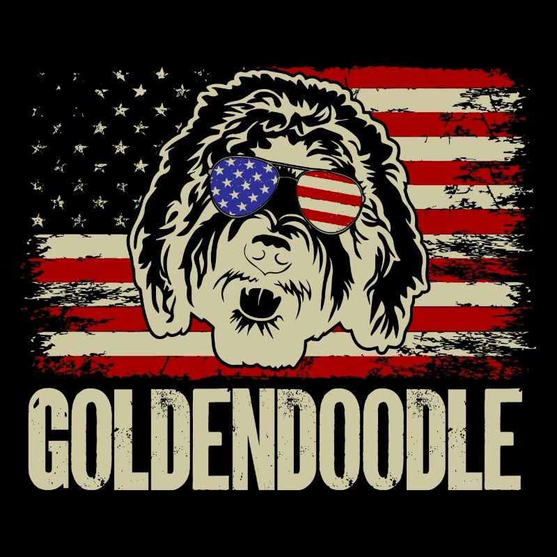 Goldendoodle Doodle Chien