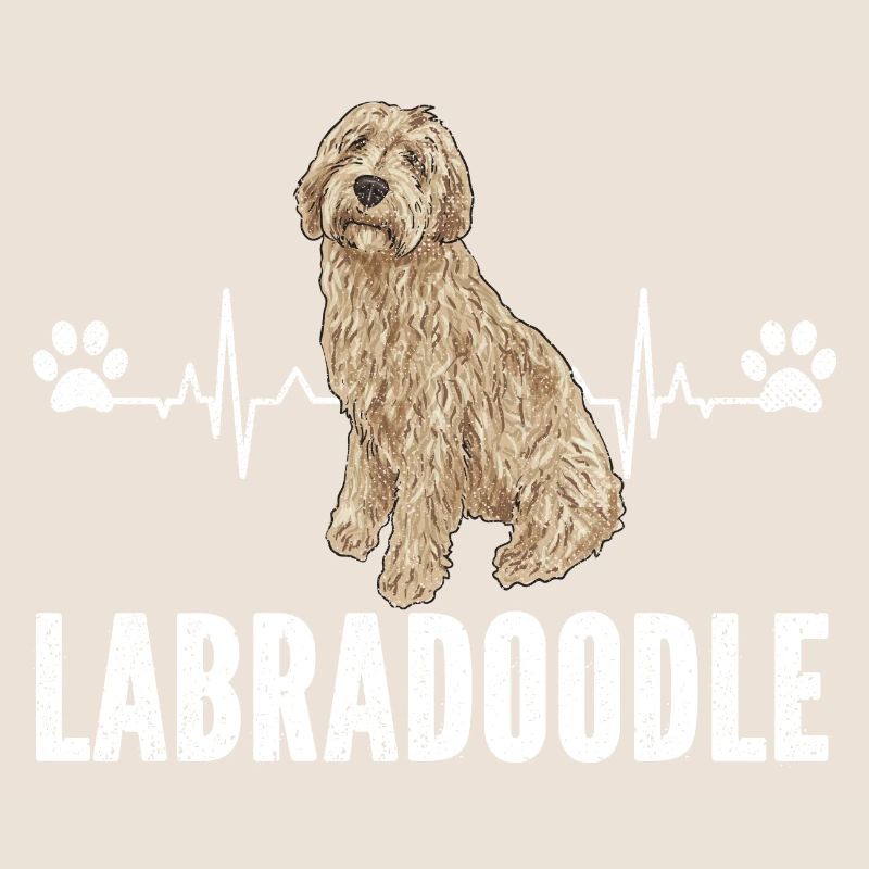 Labradoodle Chien