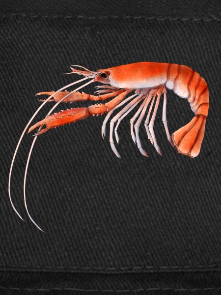 Langoustine