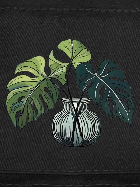 Monstera Plante Plante Amour