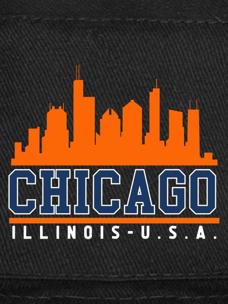 Chicago Illinois Skyline