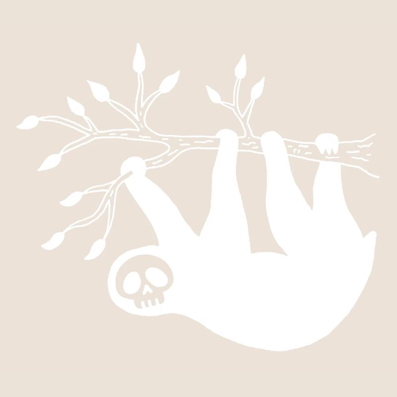 White Sloth Skull