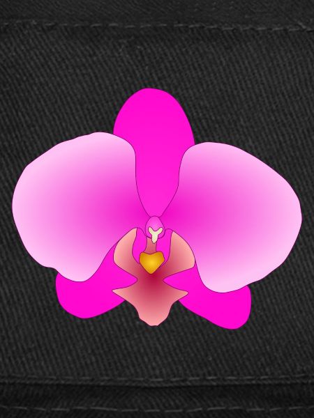 pink orchid