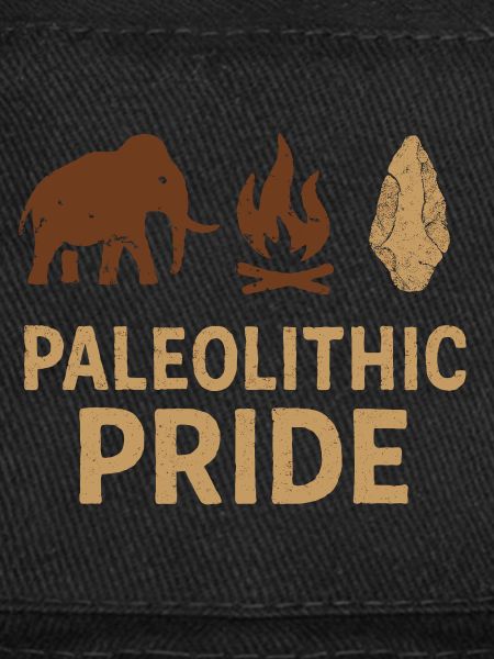 Outils préhistoriques en pierre d’Homo