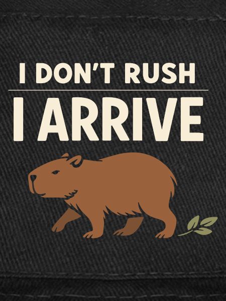 Un joli capybara anti-stress, sans stress,