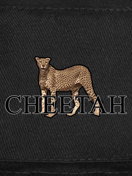 CHEETAH