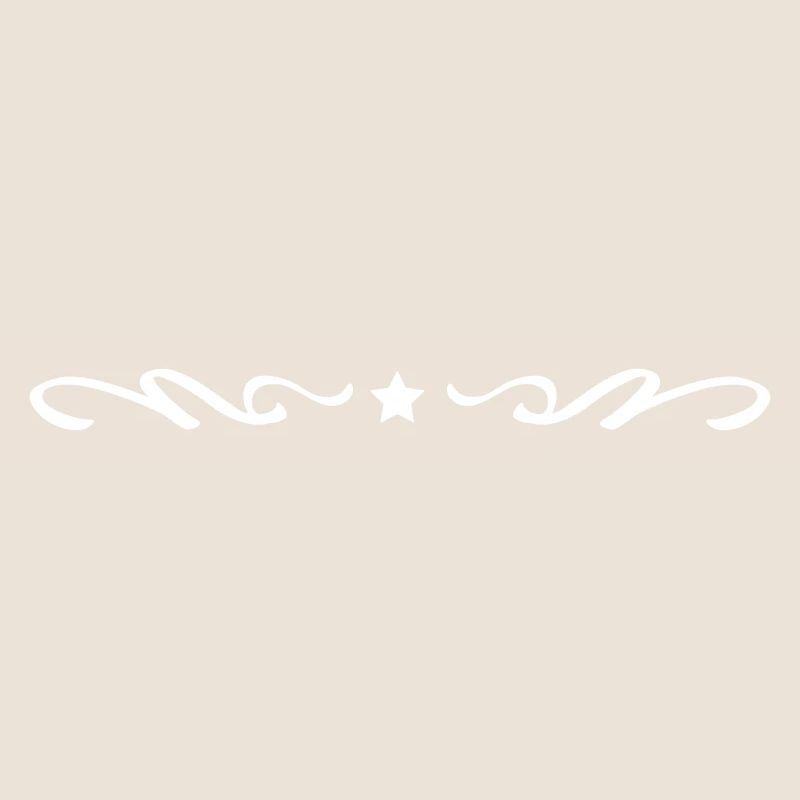 Star ornament line element icon