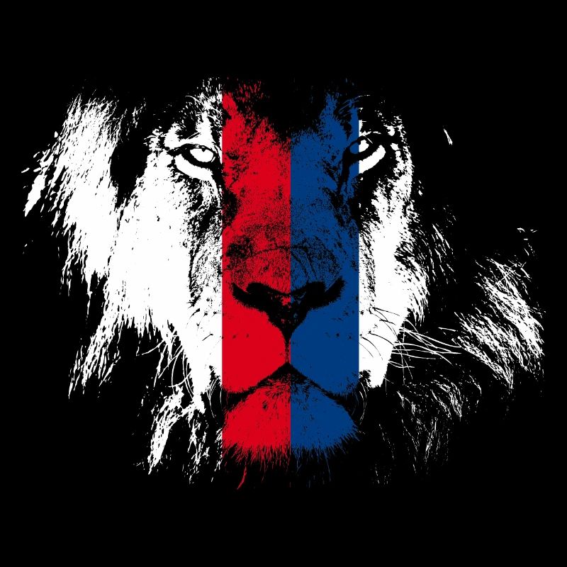 Lion de Lyon. France