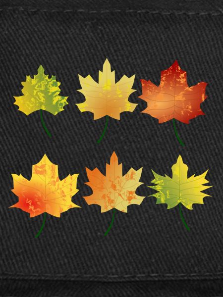 feuilles d'automne