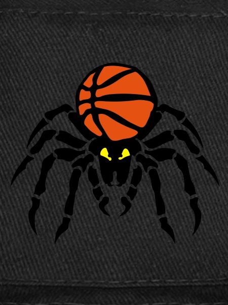 basketball araignee spider spinne ballon