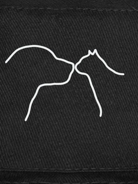 Chat chien