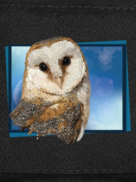 barn owl
