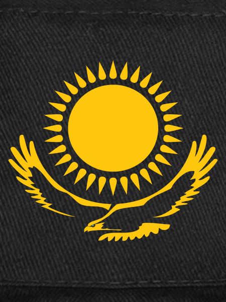 Eagle with Sun