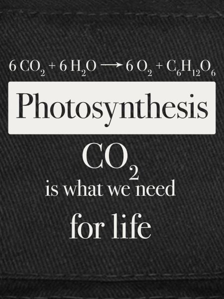 photosythesis