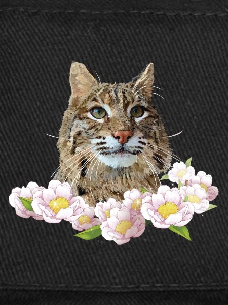 Lynx