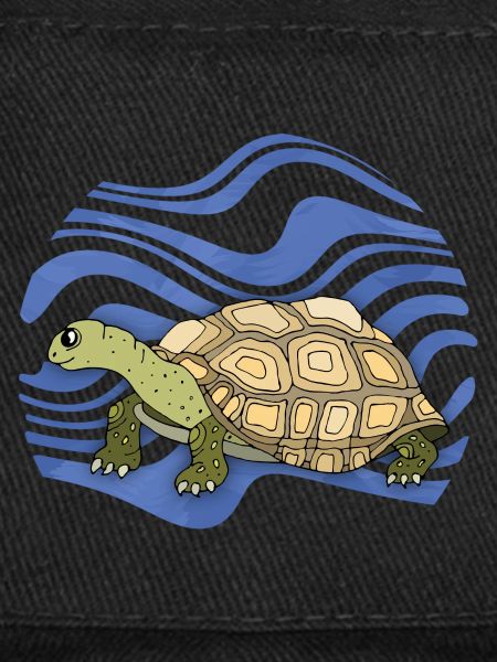 Schildkröte