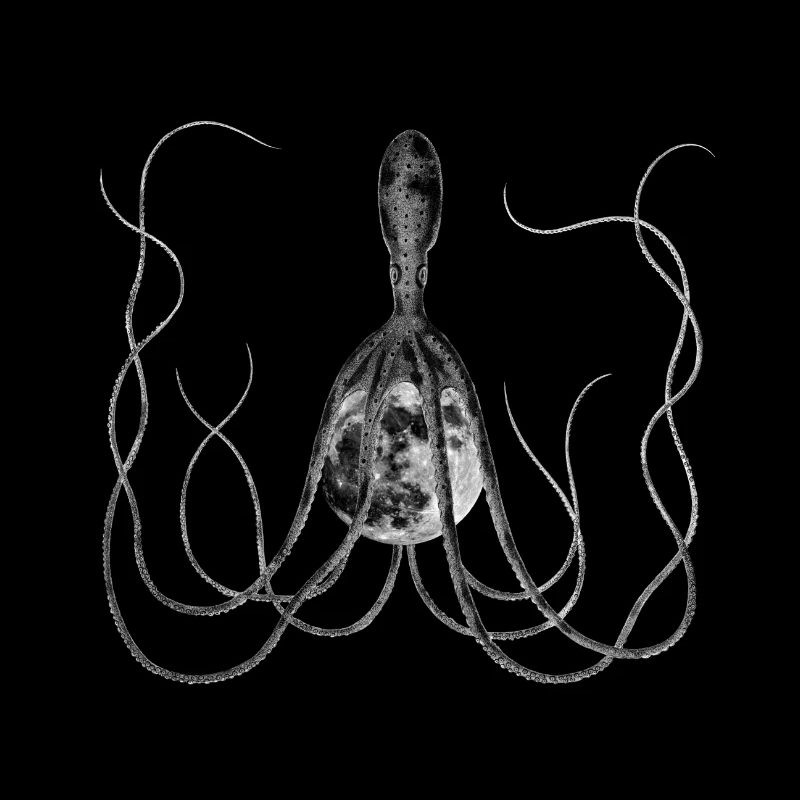 Octopus, Octopus with Moon, Surreal Vintage Artwork