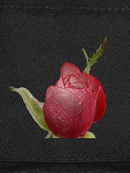 Rose rouge