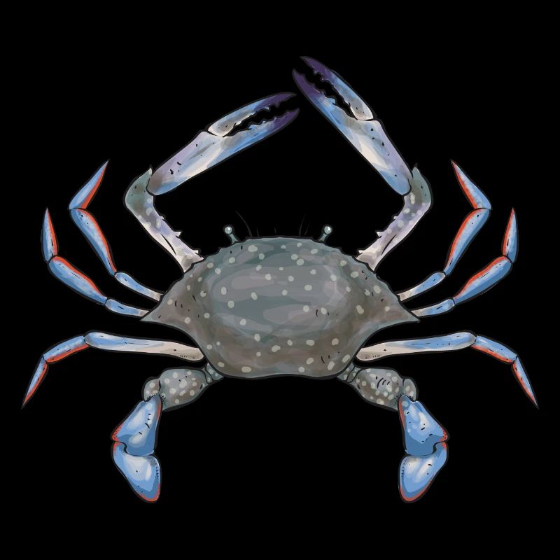 Cadeau de pêche au crabe